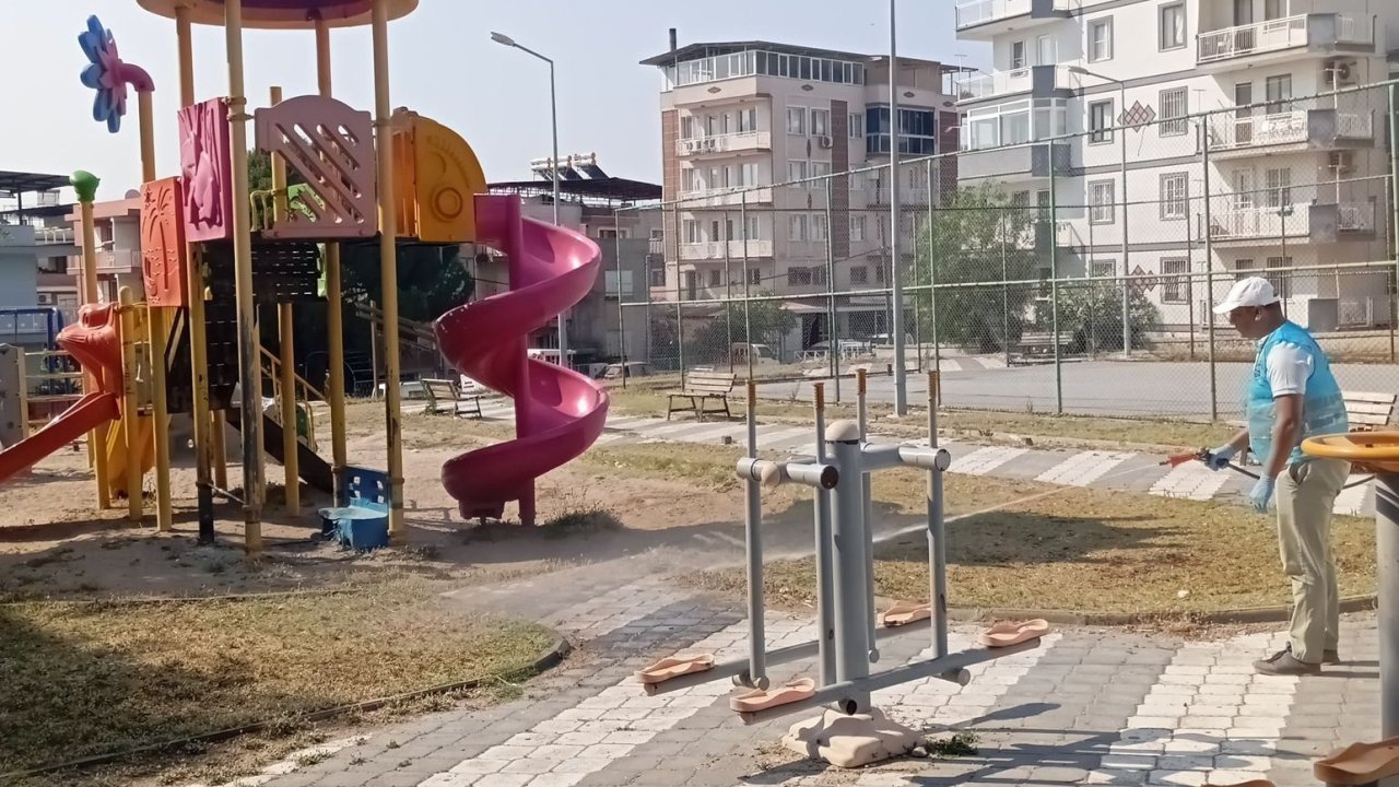 Söke’de park ve bahçelerde ’kene’ mücadelesi