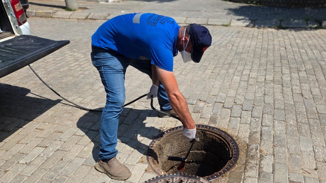 Şehri haşereler bastı, Efeler Belediyesi mücadele başlattı