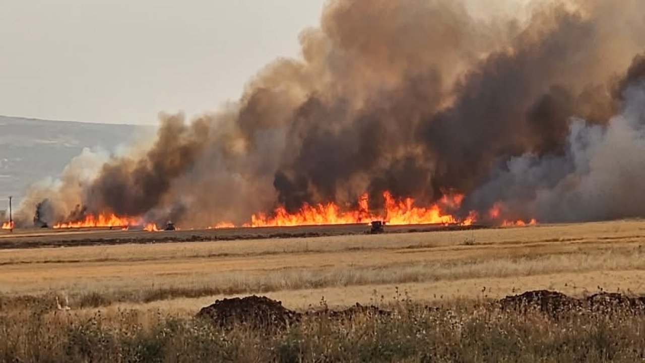 Araban Ovası’nda 8 ayrı noktada 2 bin dönüm ekili alan yandı