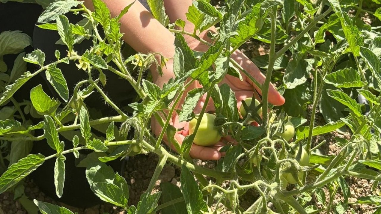 Manisa’da geri dönüşümle doğal yaşam sınıfı kuruldu