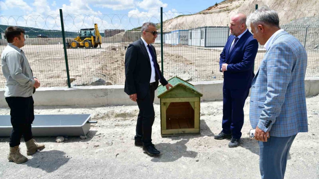 Ardahan’da sahipsiz hayvanlara yeni bir yuva
