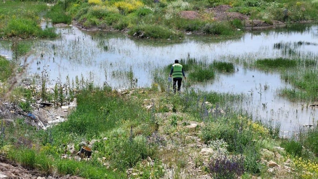 Bayburt’ta kene, bit, pire ve larvalara karşı çalışma başlatıldı