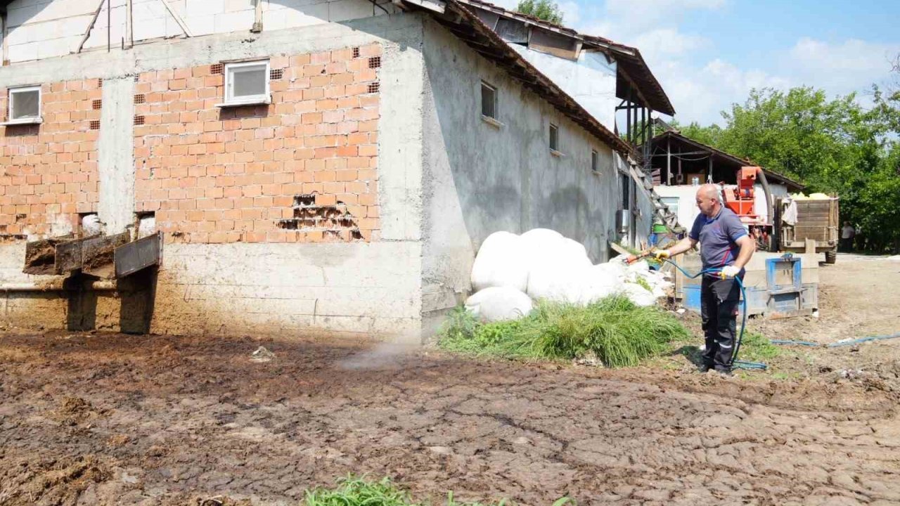 Düzce’de görülmeye başladı