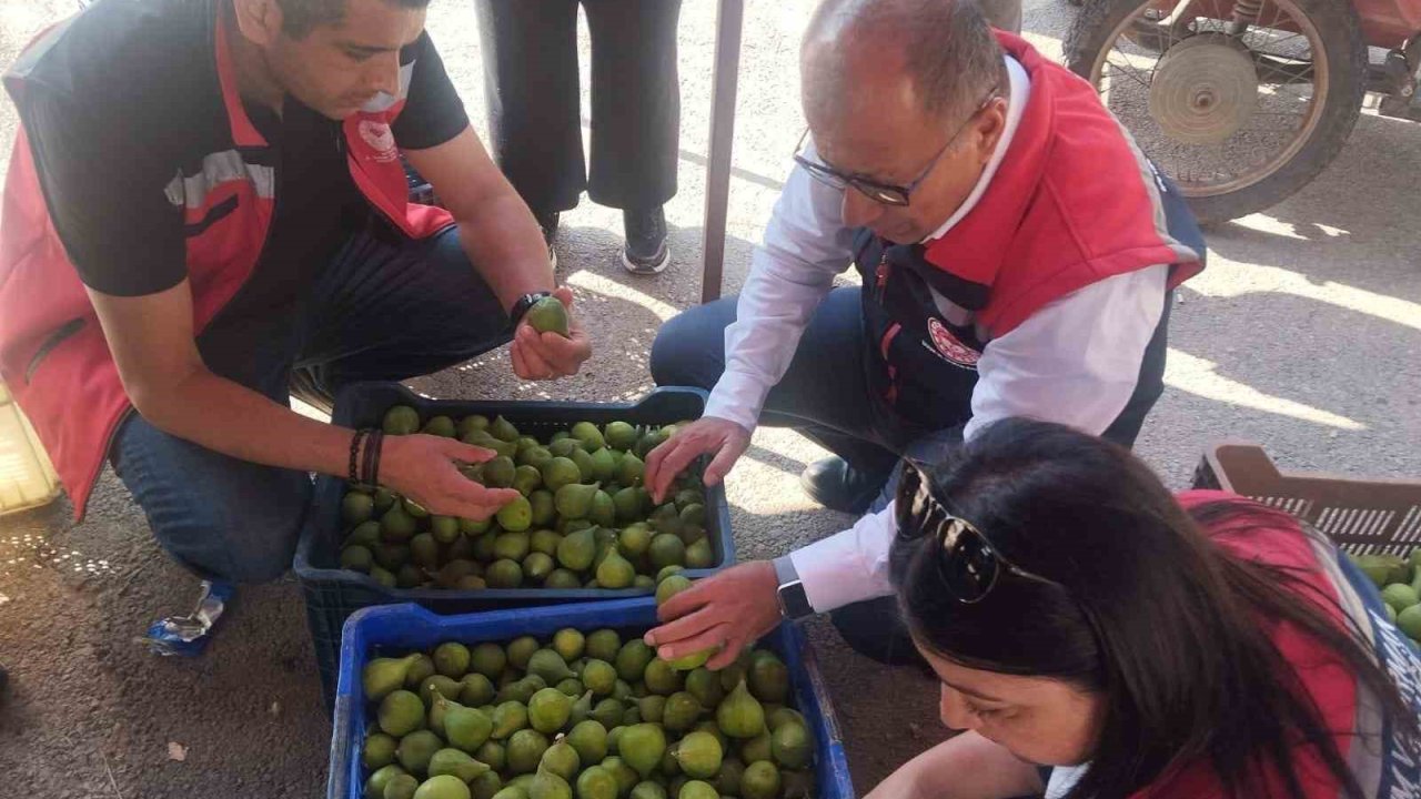 Germencik’te ilek tezgahları denetlendi
