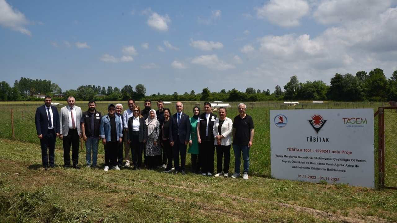 Yapay mera ile 4-5 kat fazla yem verimi sağlanacak