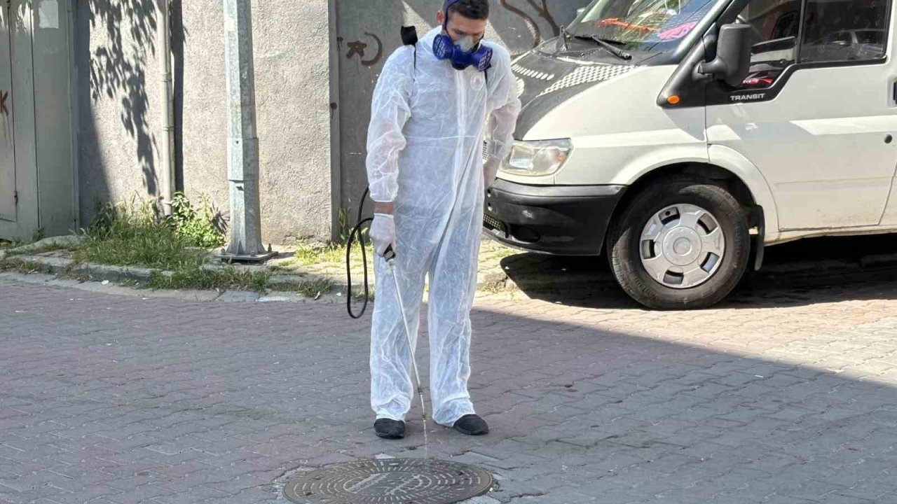 Kağıthane’de yaz boyu haşerelere geçit yok