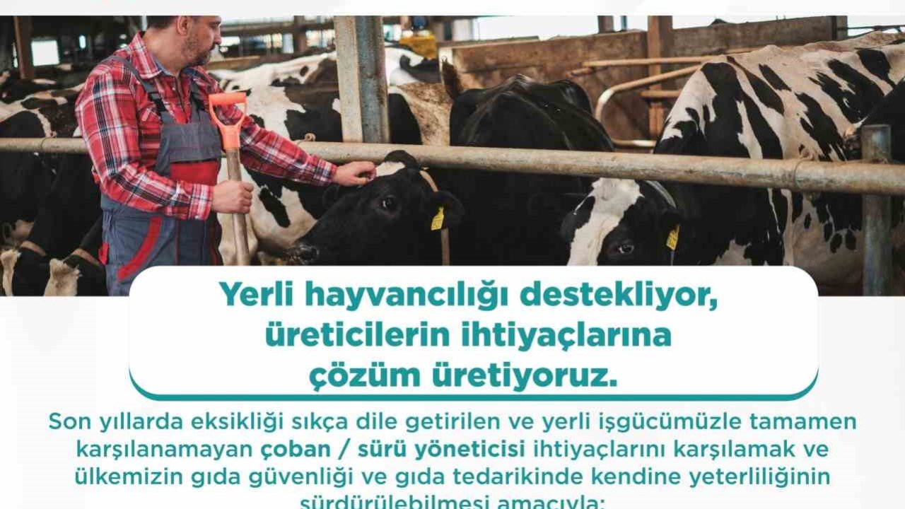 Yabancı çobanlar için çalışma izni başvuruları başladı