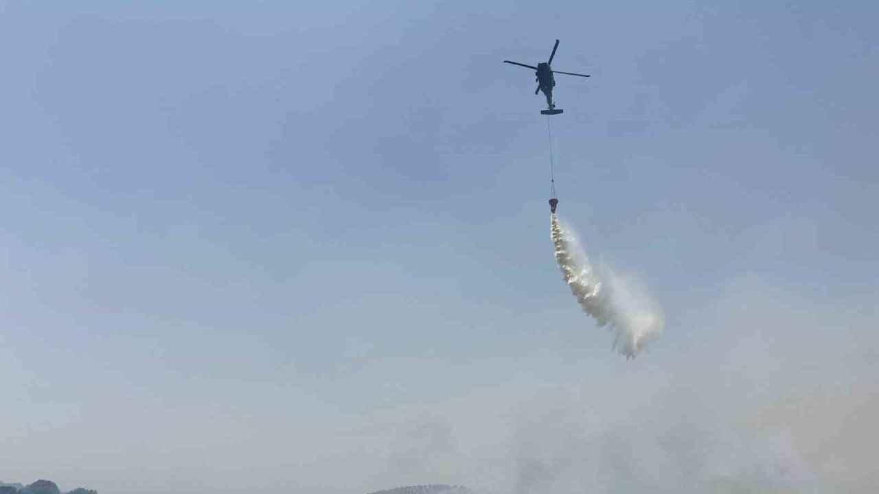 Mardin’de orman yangınına havadan ve karadan müdahale sürüyor
