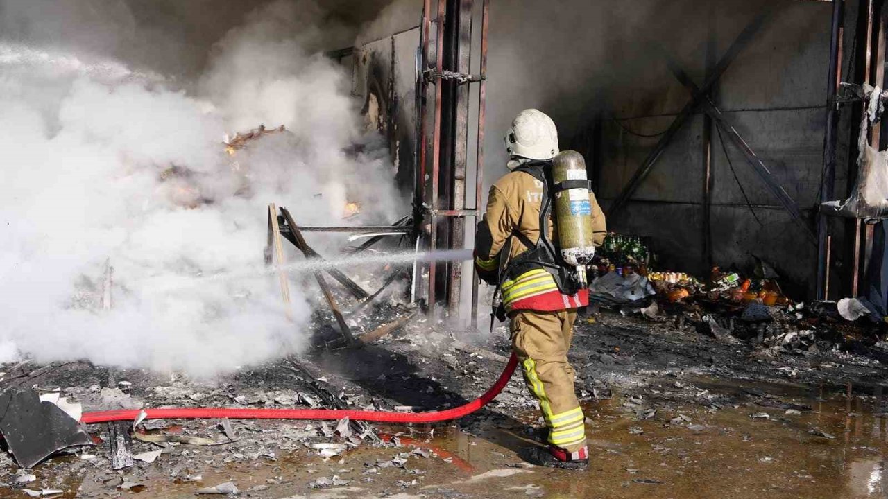 Bayramda en çok hayvan kurtardılar