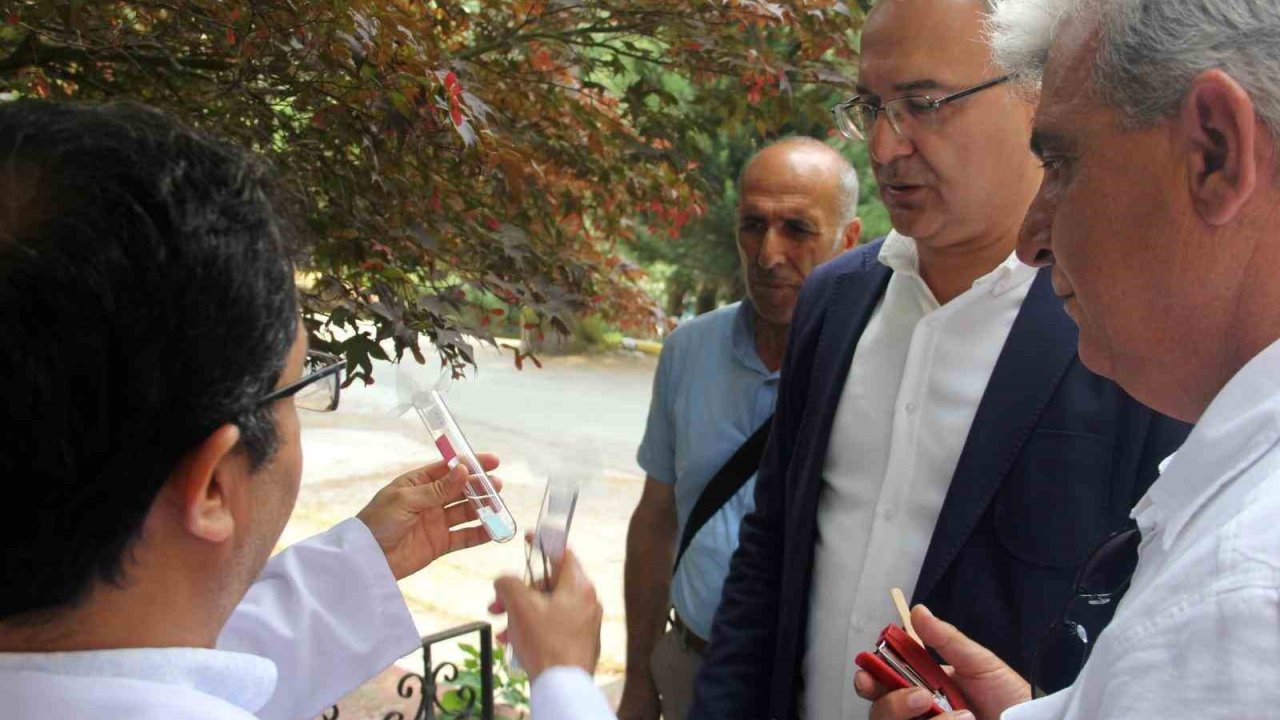 Yalova’da kahverengi kokarcaya karşı samuray arılar doğaya salındı