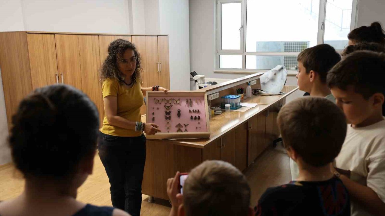 Büyük bir ilgiyle böceklerin dünyasını tanıdılar