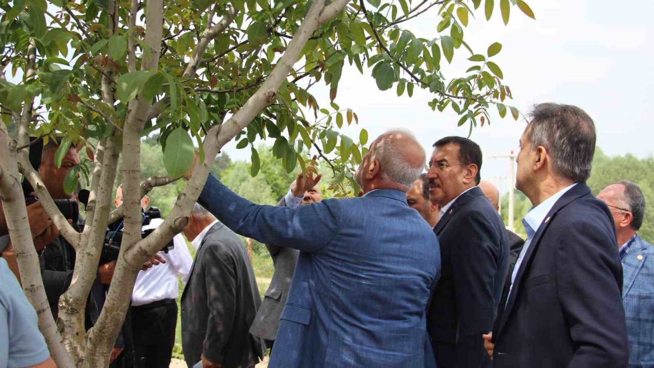 TBMM Zirai Don Araştırma Komisyonu, Bolu’da inceleme yaptı