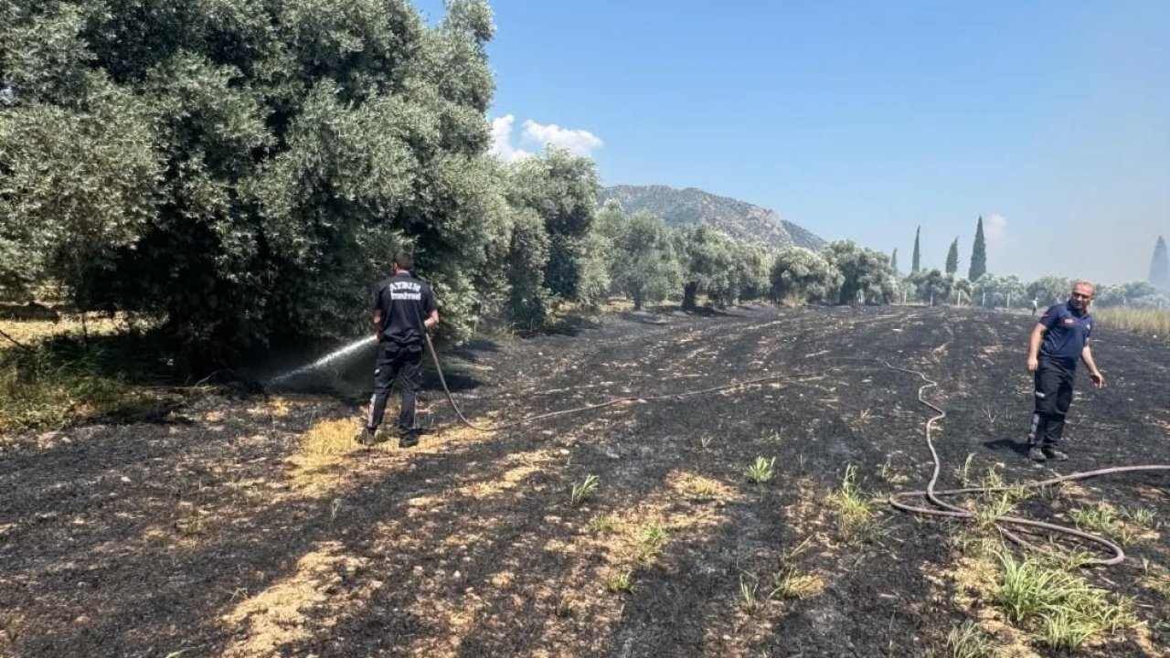 Başkan Kaya’dan yangın uyarısı: "Açık alanlarda ateş yakmayın"