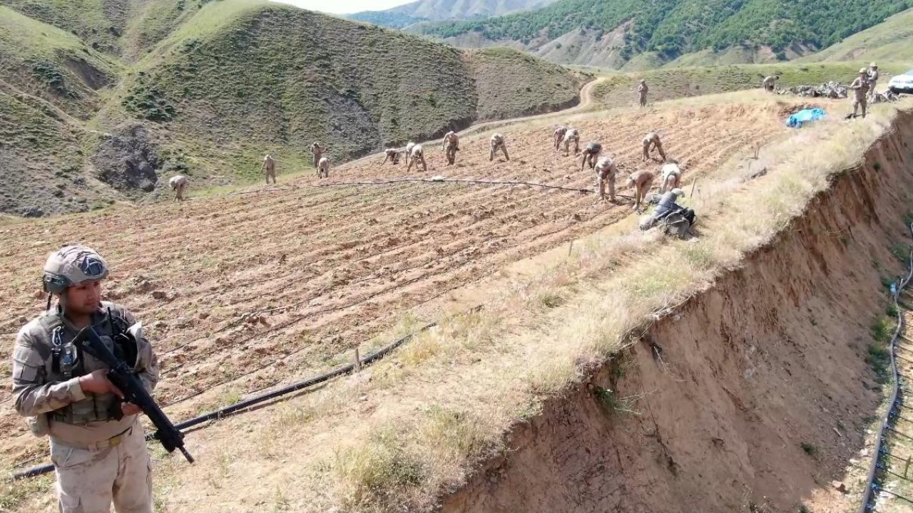 Diyarbakır’da yaklaşık 160 milyar 650 milyon TL olan 319 tonluk uyuşturucu maddenin topluma sunulmasının önüne geçildi