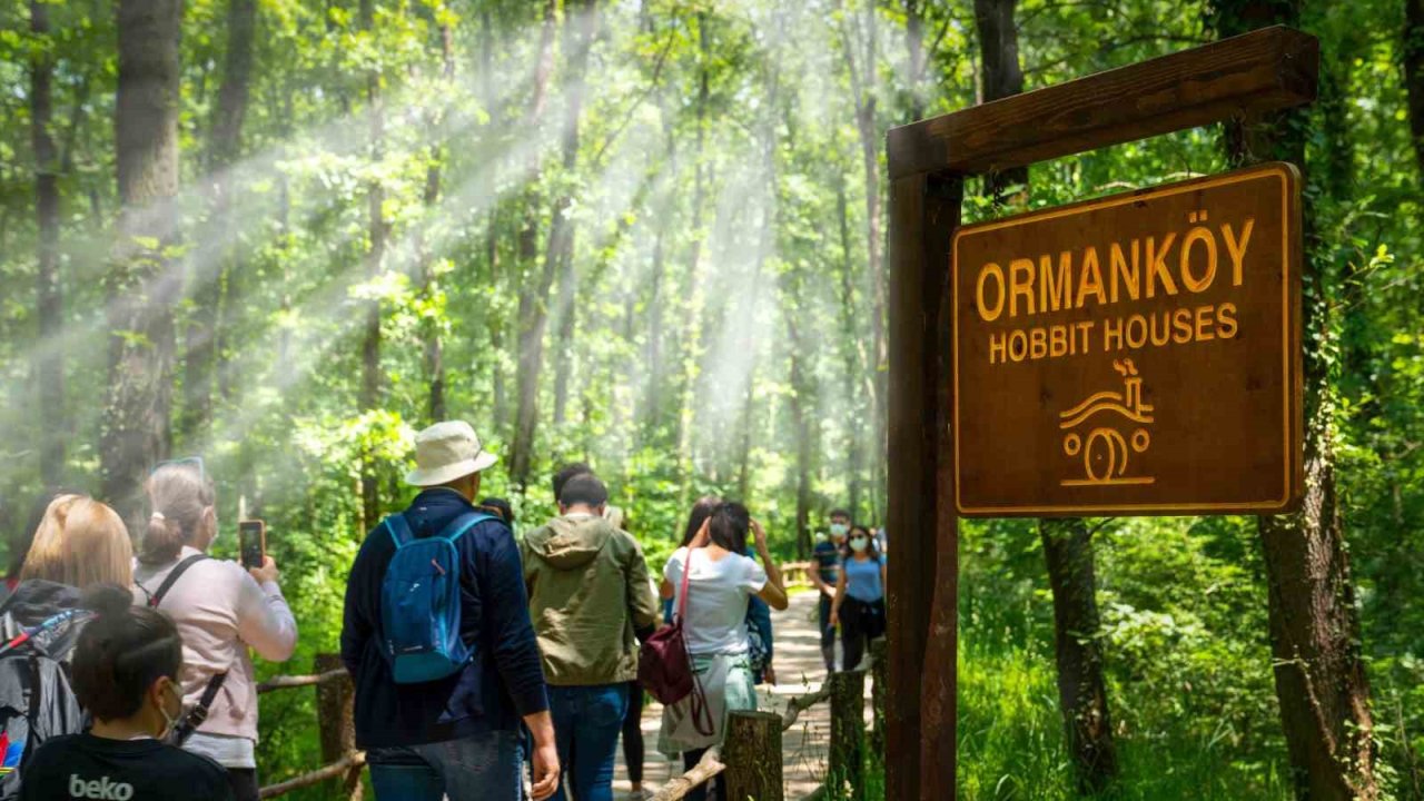 Ormanya’da yaz hazırlıkları tamamlandı