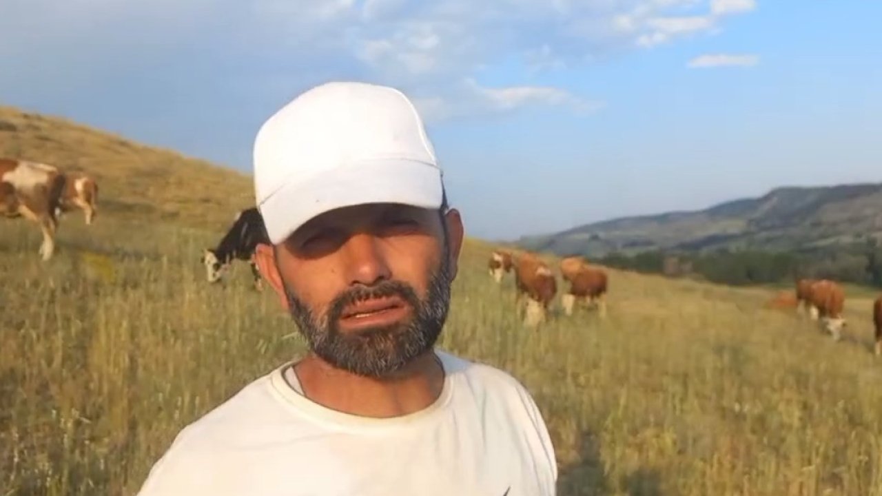 Yozgat’ta keneler görülmeye devam ediyor