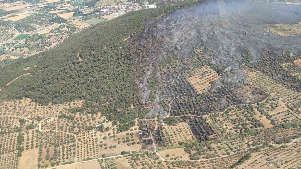 Foça’da ormanlık alanda çıkan yangın kontrol altında