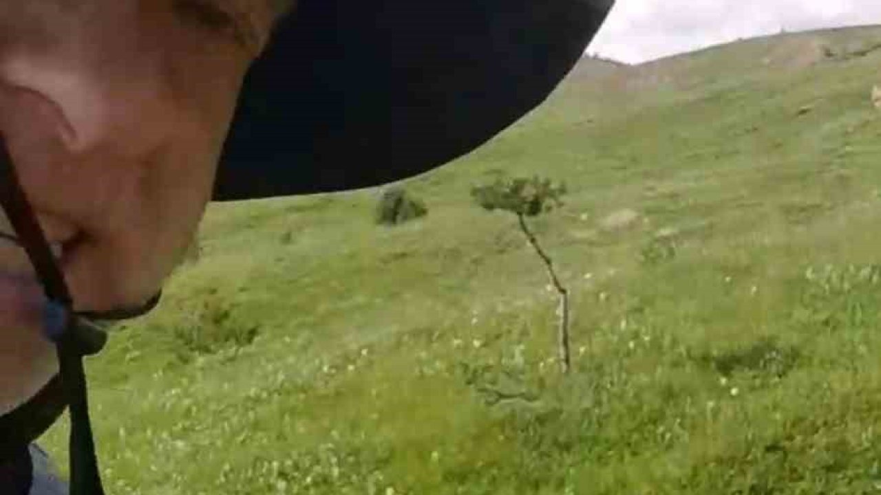 Mantar toplamaya çıktı, tilkiyle dost oldu