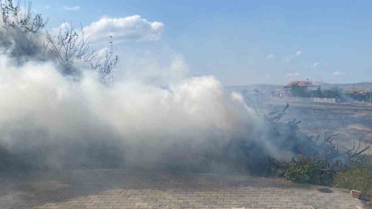 Alevlere teslim olan 5 ton odun küle döndü