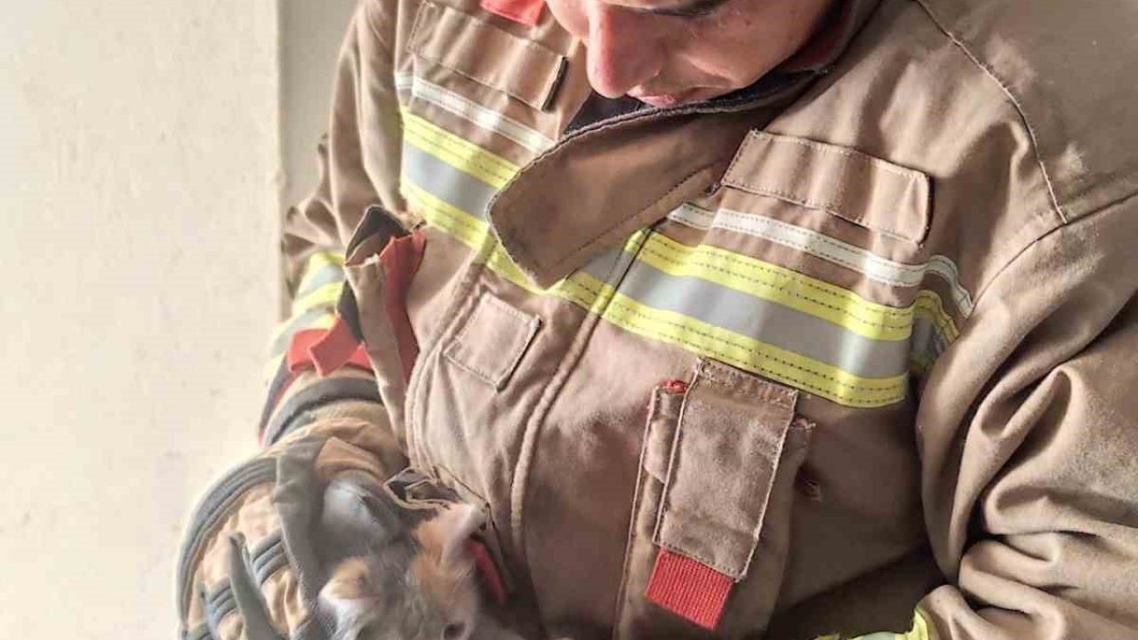 Havalandırma boşluğuna düşen kediyi itfaiye kurtardı