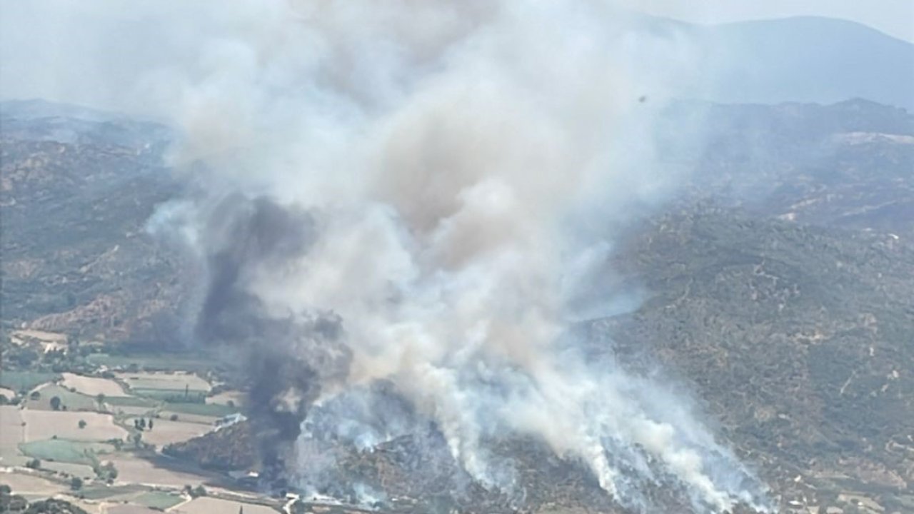 Söke’de yangın, söndürme çalışmaları sürüyor