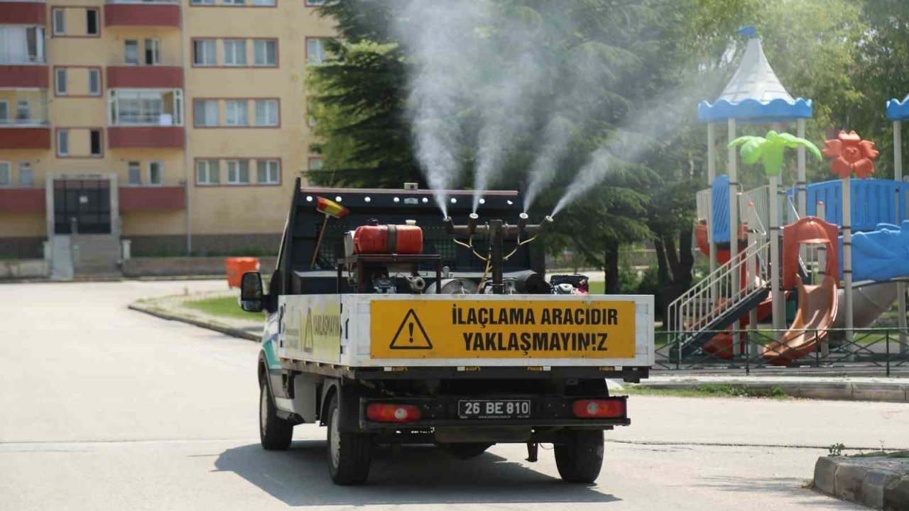 Odunpazarı Belediyesi’nden kenelere karşı etkili mücadele