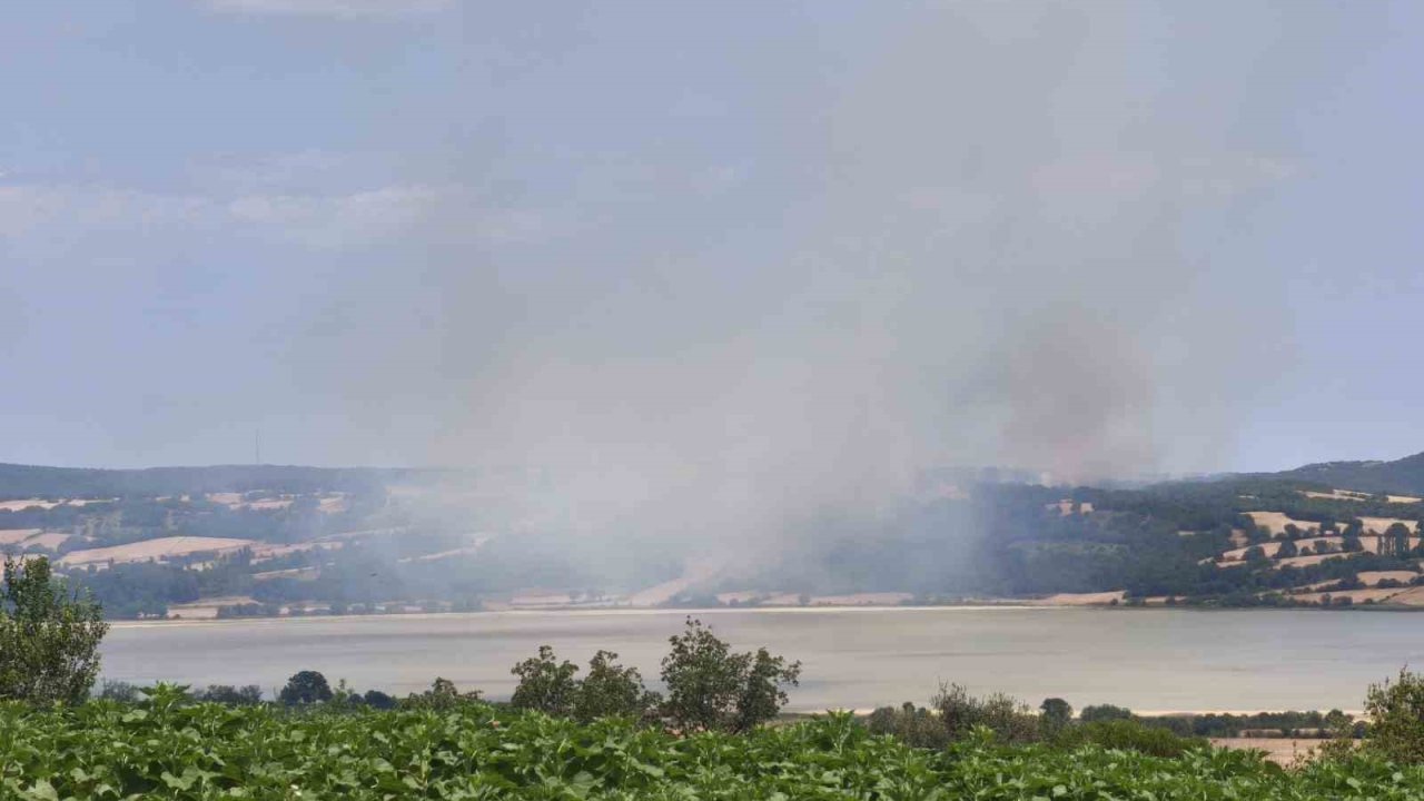 Edirne’de orman yangını kontrol altına alındı