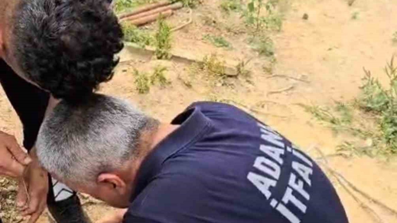 Su borusuna düşen yavru kedi kurtarıldı