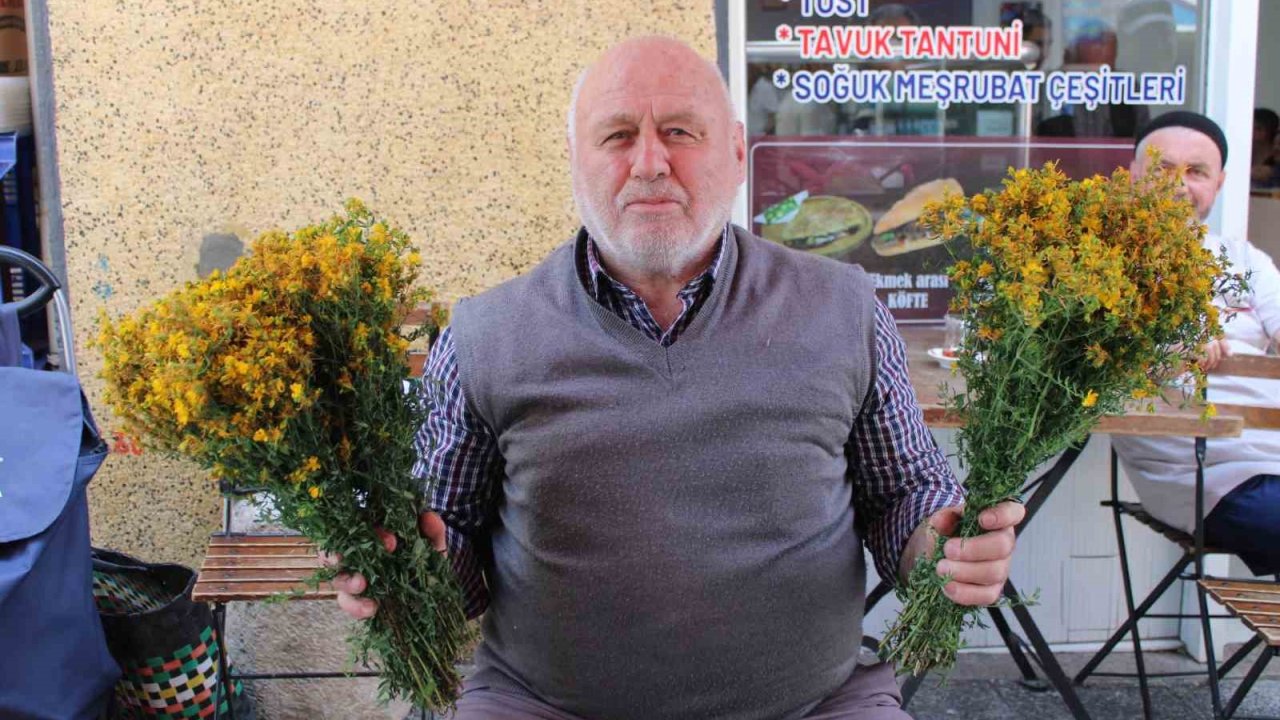 Bu çiçek hediye için değil sağlık için alınıyor