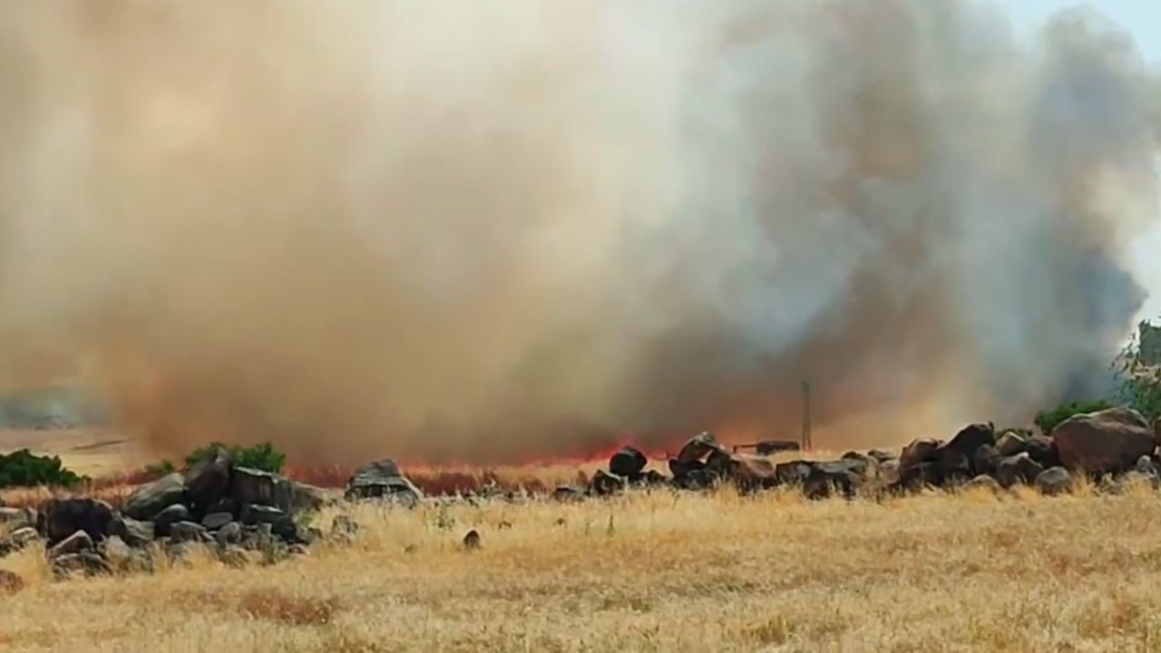 Siverek’te 50 dönümlük buğday ekili arazi yandı