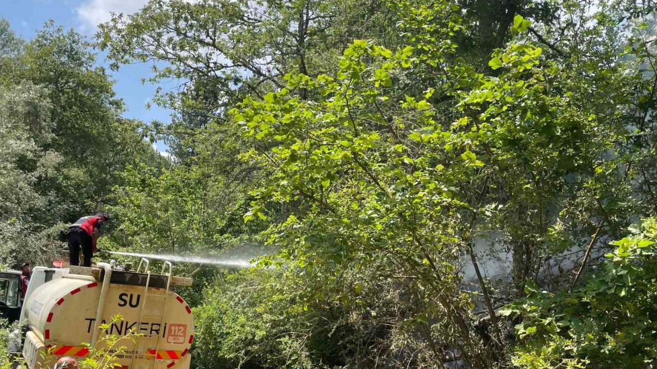Koskoca tabiat parkı bir sigara izmariti yüzünden kül olacaktı