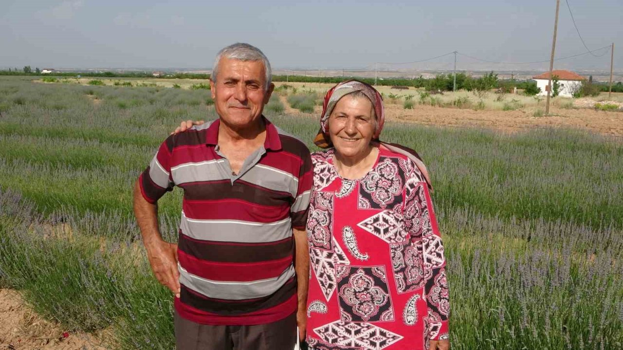 İnternetten gördüler, lavanta üreticisi oldular