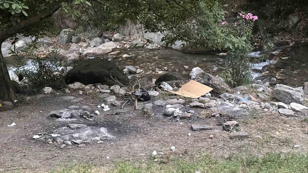 Yasağı delip ormanda mangal yaktılar, jandarmadan kaçamadılar