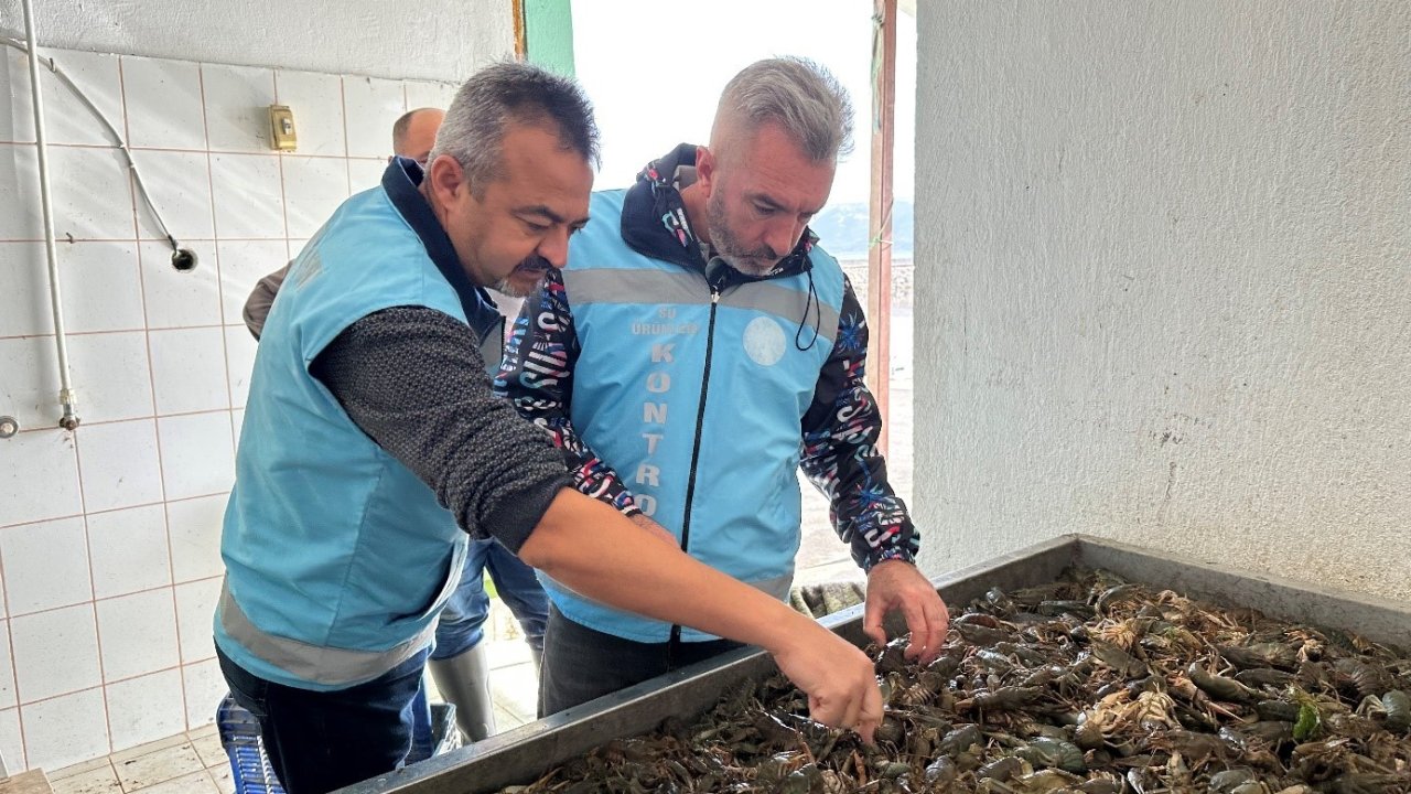 Isparta’da su ürünleri av yasağı bugün itibarıyla sona erdi