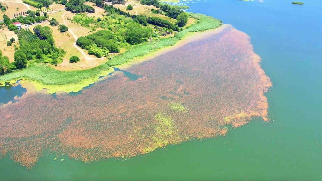 Baharın renklerine bürünen Terkos Gölü mest etti