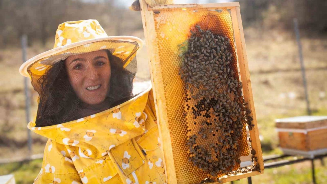 İznik’ten Londra’ya bal gibi başarı