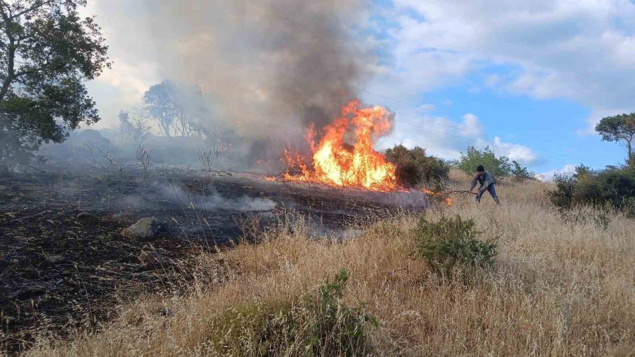 Valilik uyardı, anız yakmak kesinlikle yasak