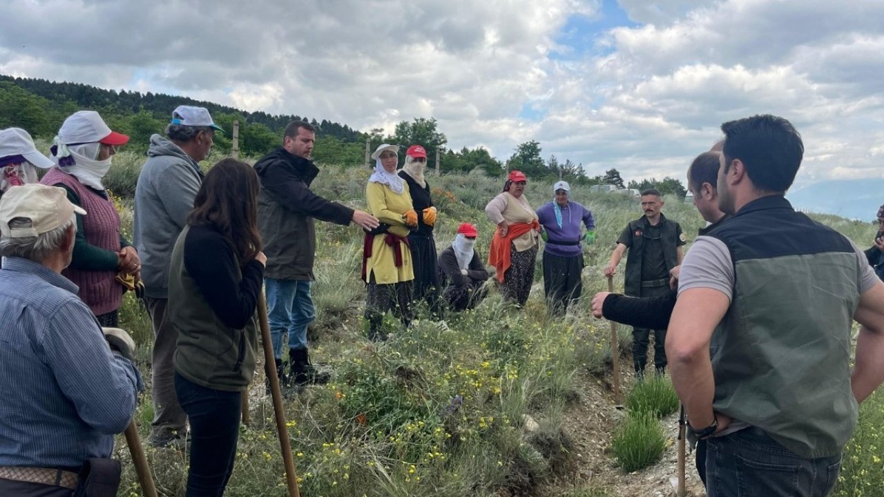 Erzincan’da yeşil vatana kadın eli değiyor