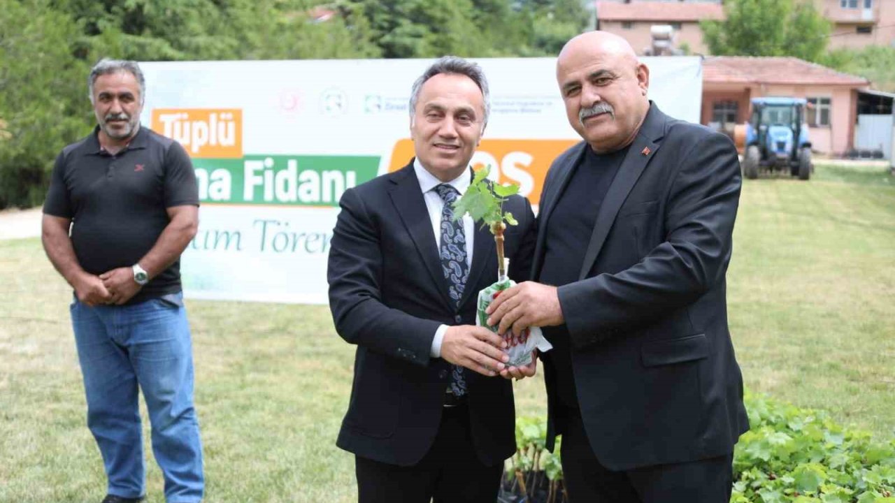 TOGÜ tüplü asma fidanlarını üreticiyle buluşturdu