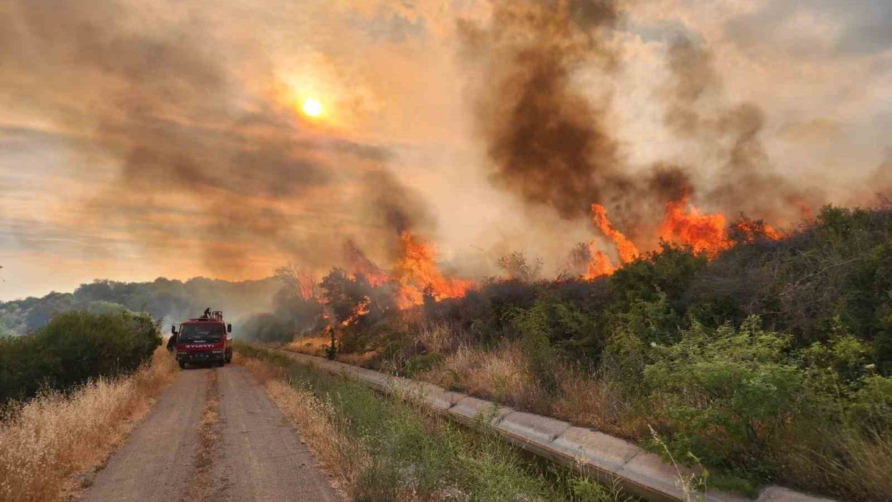 AK Partili Gider, orman yangınlarına karşı vatandaşları sorumluluk ve duyarlılığa davet etti