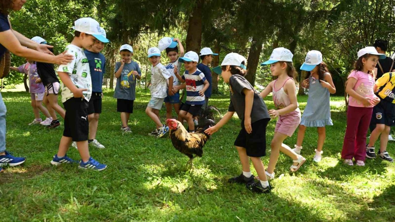 Minik eller Denizli Horozu üretimini öğrendi