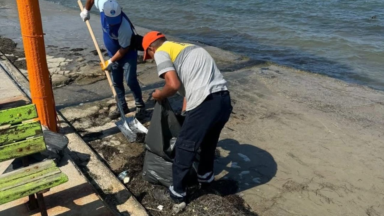 Didim Belediyesi Mavişehir Sahili’ni temizledi