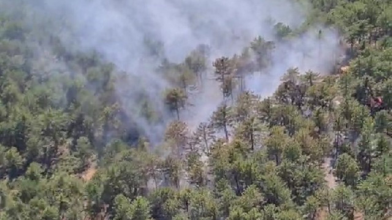 Çivril’deki orman yangınında 2 hektar alan zarar gördü