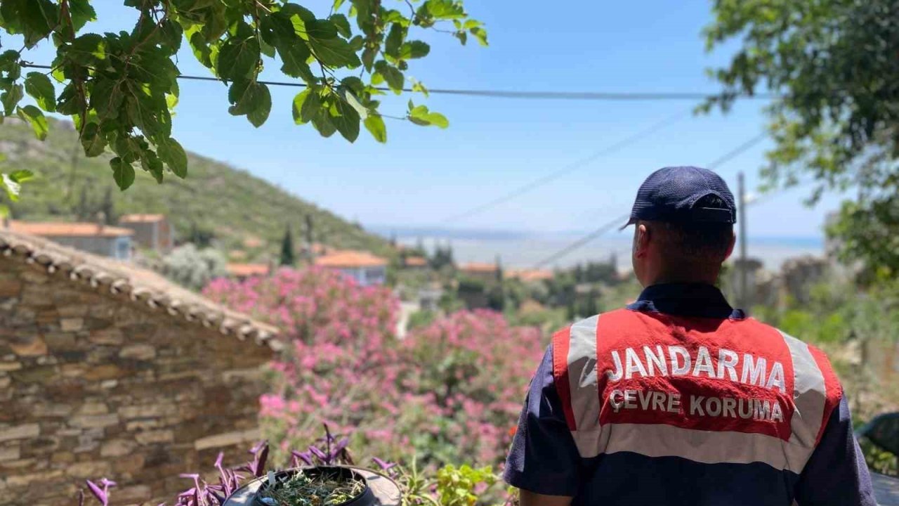 Doğanbey’de orman yangınlarına dikkat çekildi