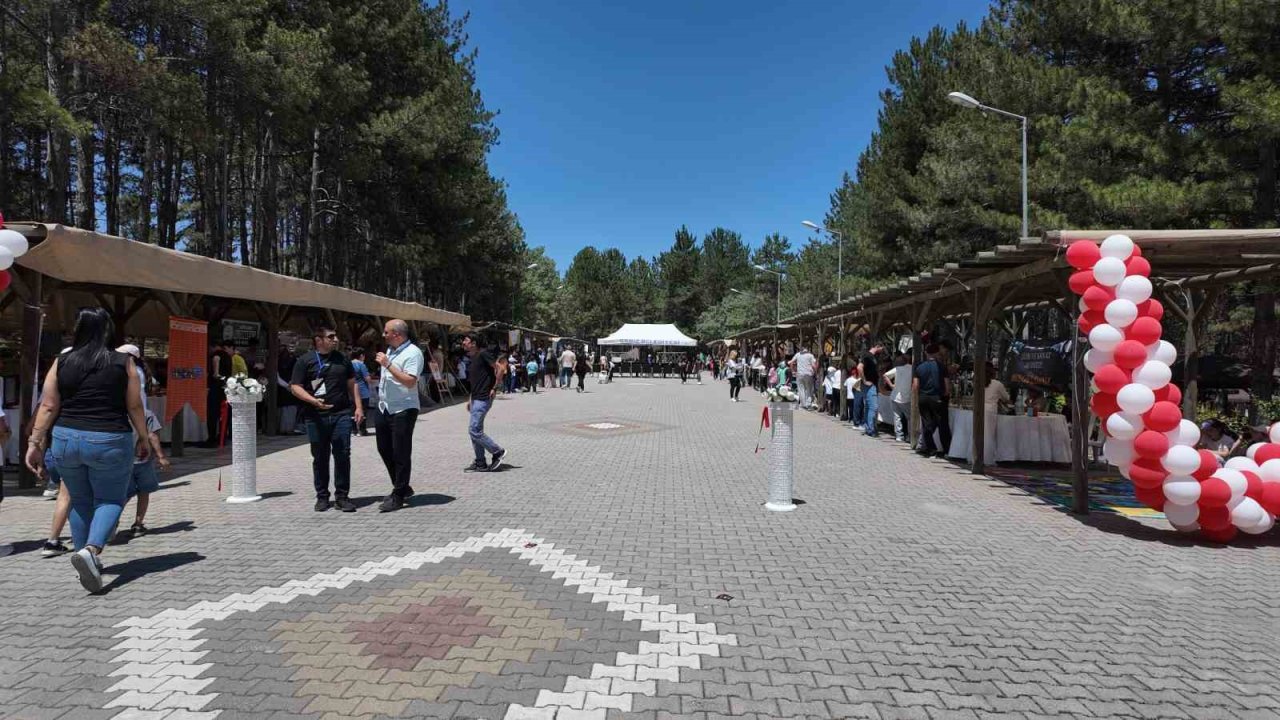 Gediz’de bilim şöleni: Teknogediz Bilim Fuarı öğrencilerin projeleriyle göz kamaştırdı