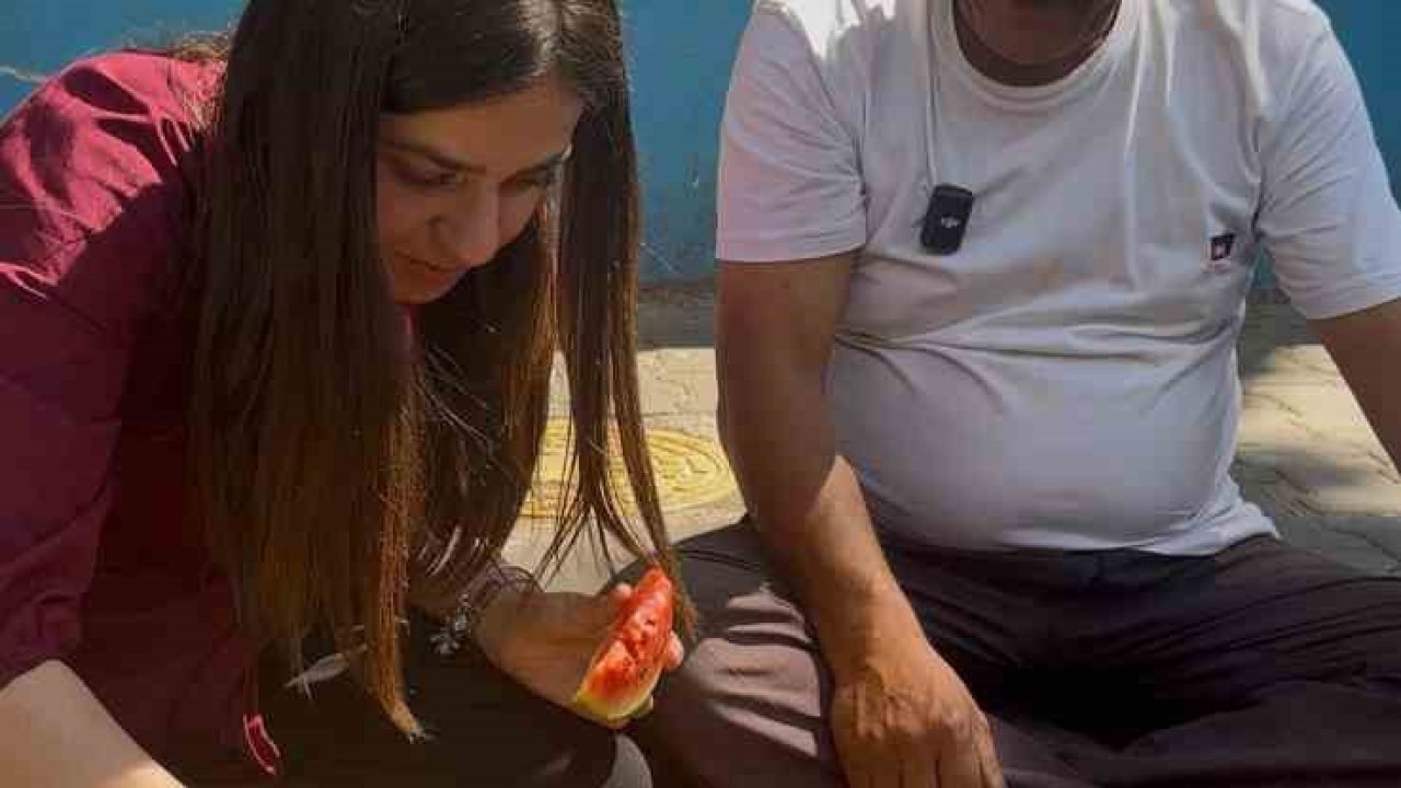 Aydın’da yapay zeka testi, yapay zeka karpuz seçiminde sınıfta kaldı