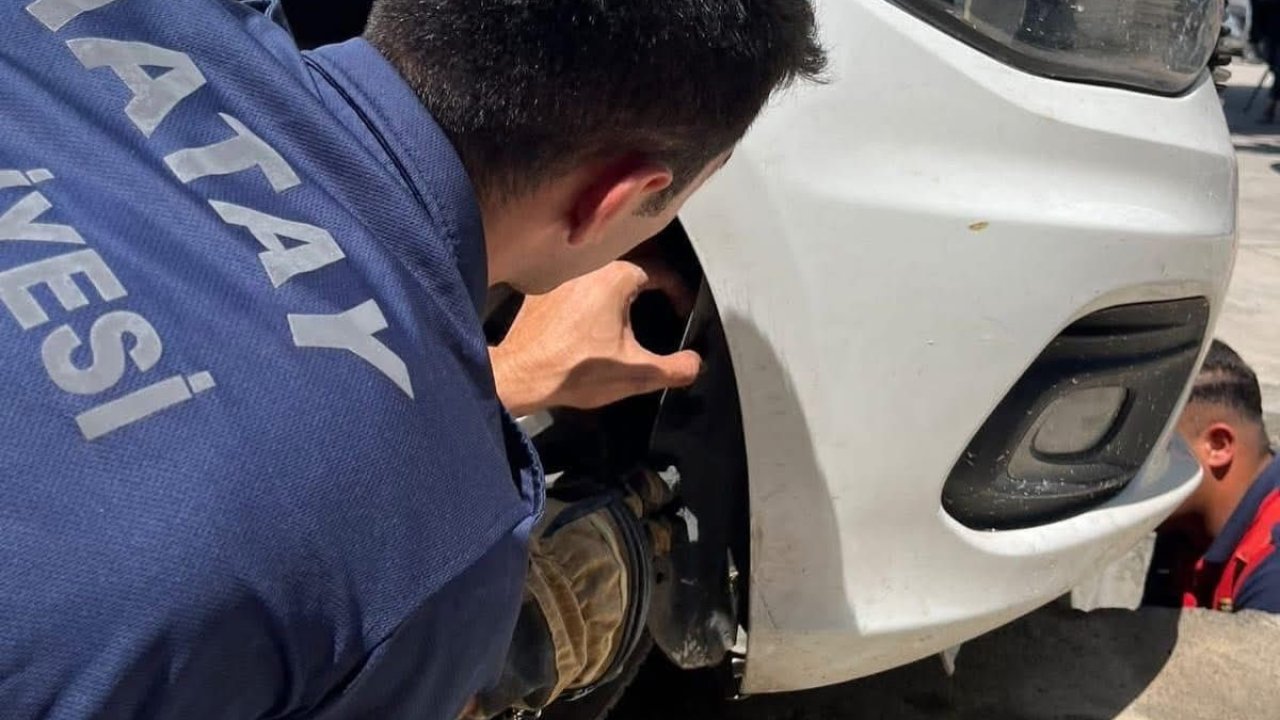 İskenderun’da aracın kaputuna giren kediyi itfaiye kurtardı