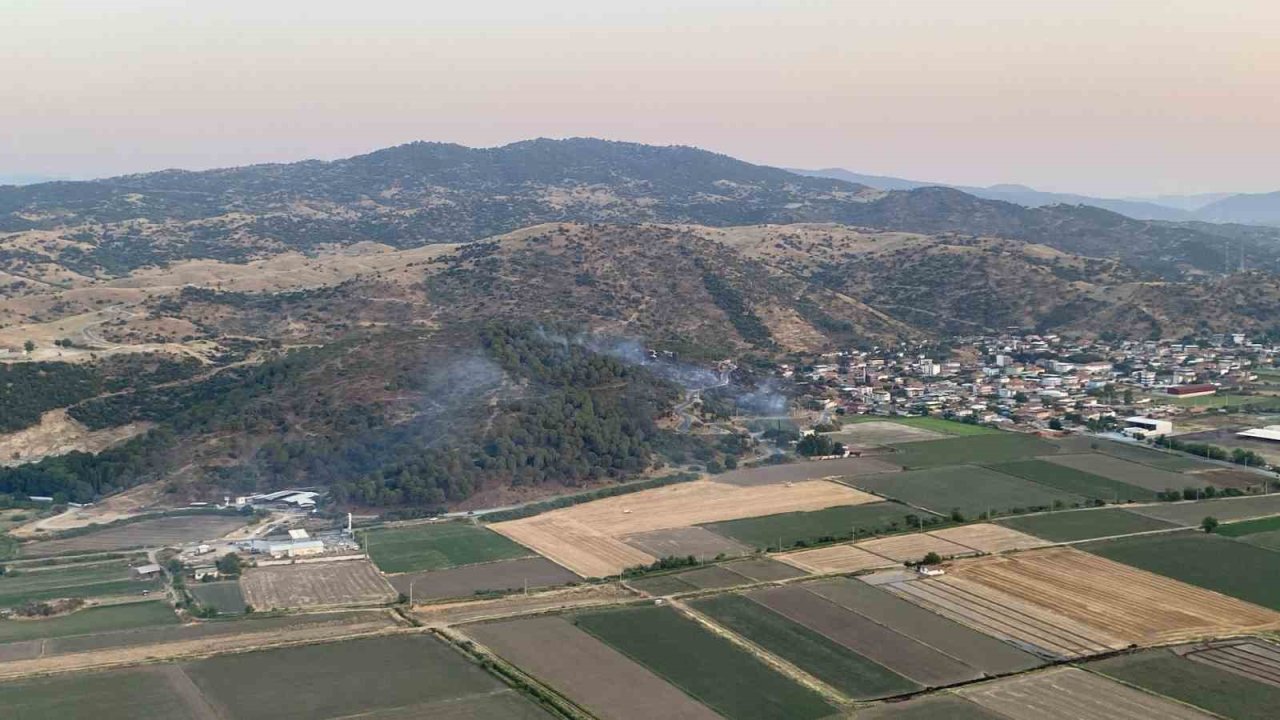 Koçarlı’daki orman yangını kontrol altına alındı