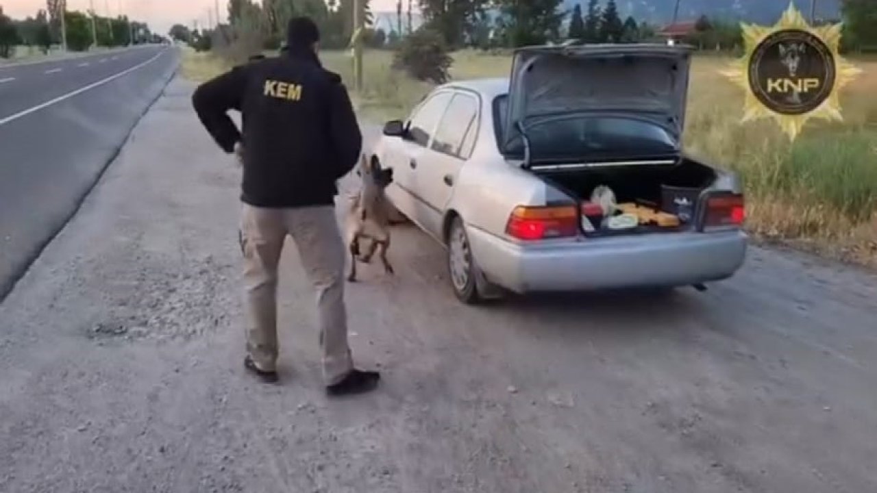 Kütahya’da uyuşturucu operasyonunda Thor’un başarısı: 2 tutuklama