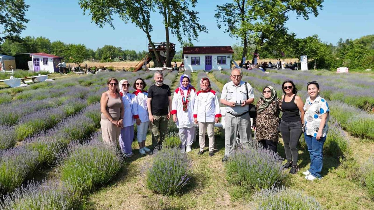 Sinop’ta lavanta kokulu gastronomi buluşması: Yöresel lezzetlere mor dokunuş
